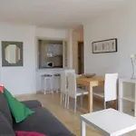 Bruja *